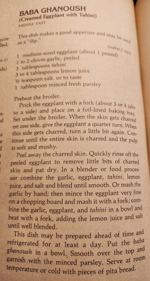 Another Baba Ghanouj